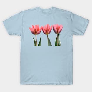 Tulipa &#39;Pretty Princess&#39; Triumph Group Tulip T-Shirt